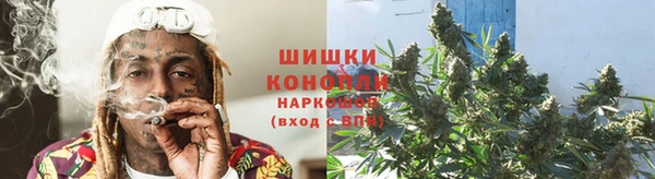 спайс Богданович