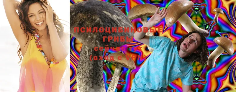 Псилоцибиновые грибы Magic Shrooms  Полярные Зори 